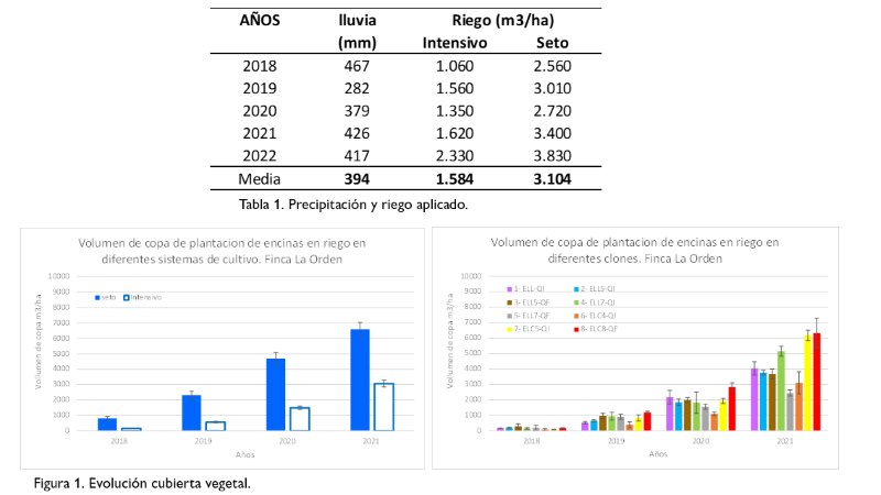 figura%201